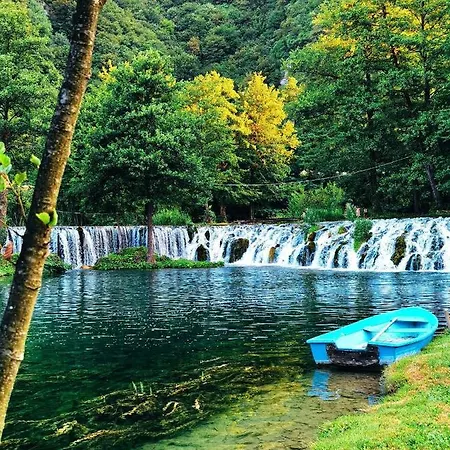 No7 * Jajce